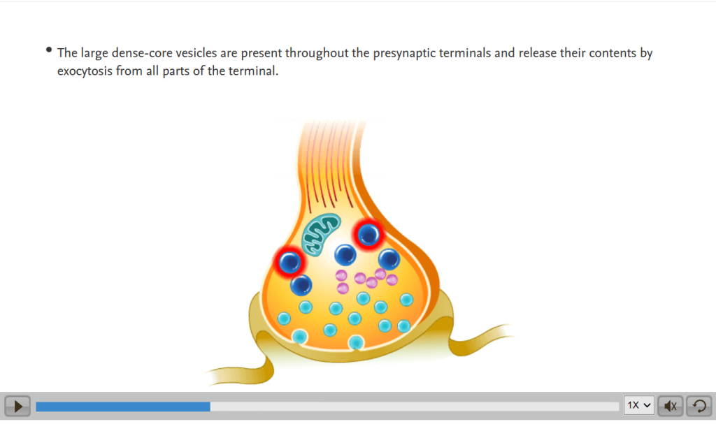 Medical animations